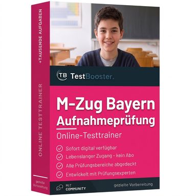 M-Zug Bayern M8 Aufnahme